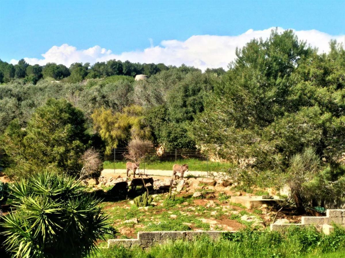 شقة Le Colonie بريزيتشي المظهر الخارجي الصورة